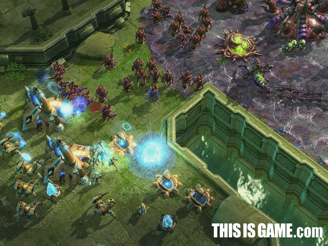 森林 年度版 截图20