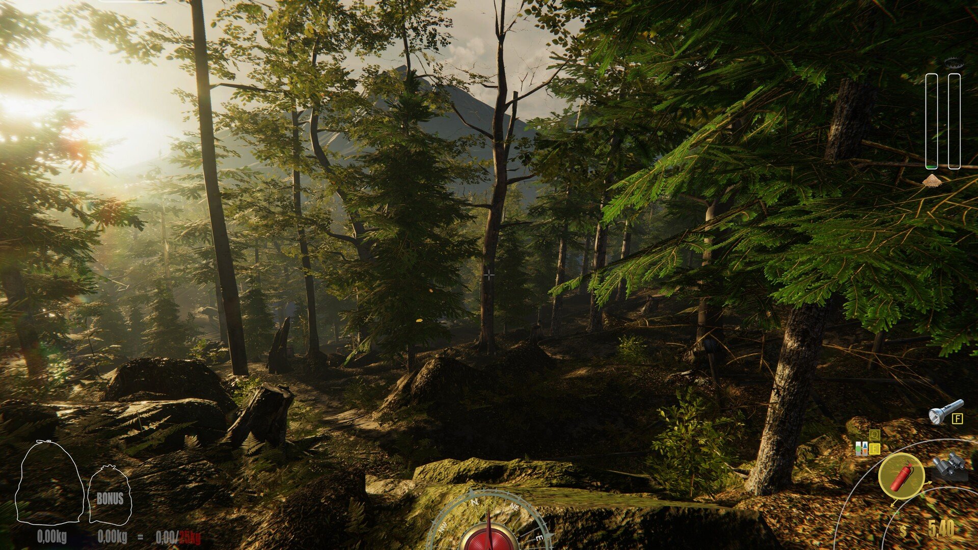 艾尔登法环 年度版 截图21